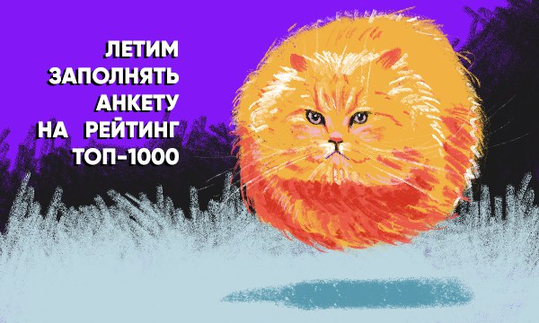 НИУ «БелГУ» приглашает студентов и исследователей к участию в акселерационных программах 
